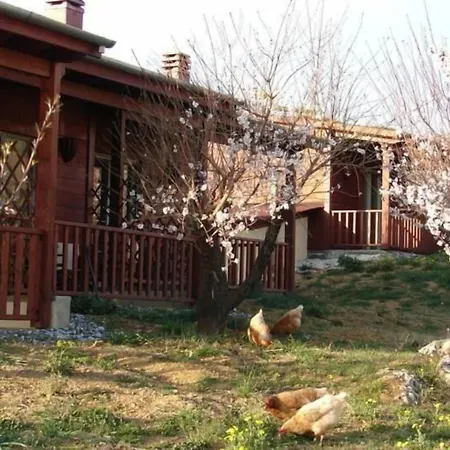 Villa Rustica-2