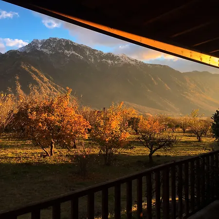 Villa Rustica-3